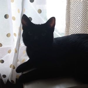 Meet your Posher, Kailynn